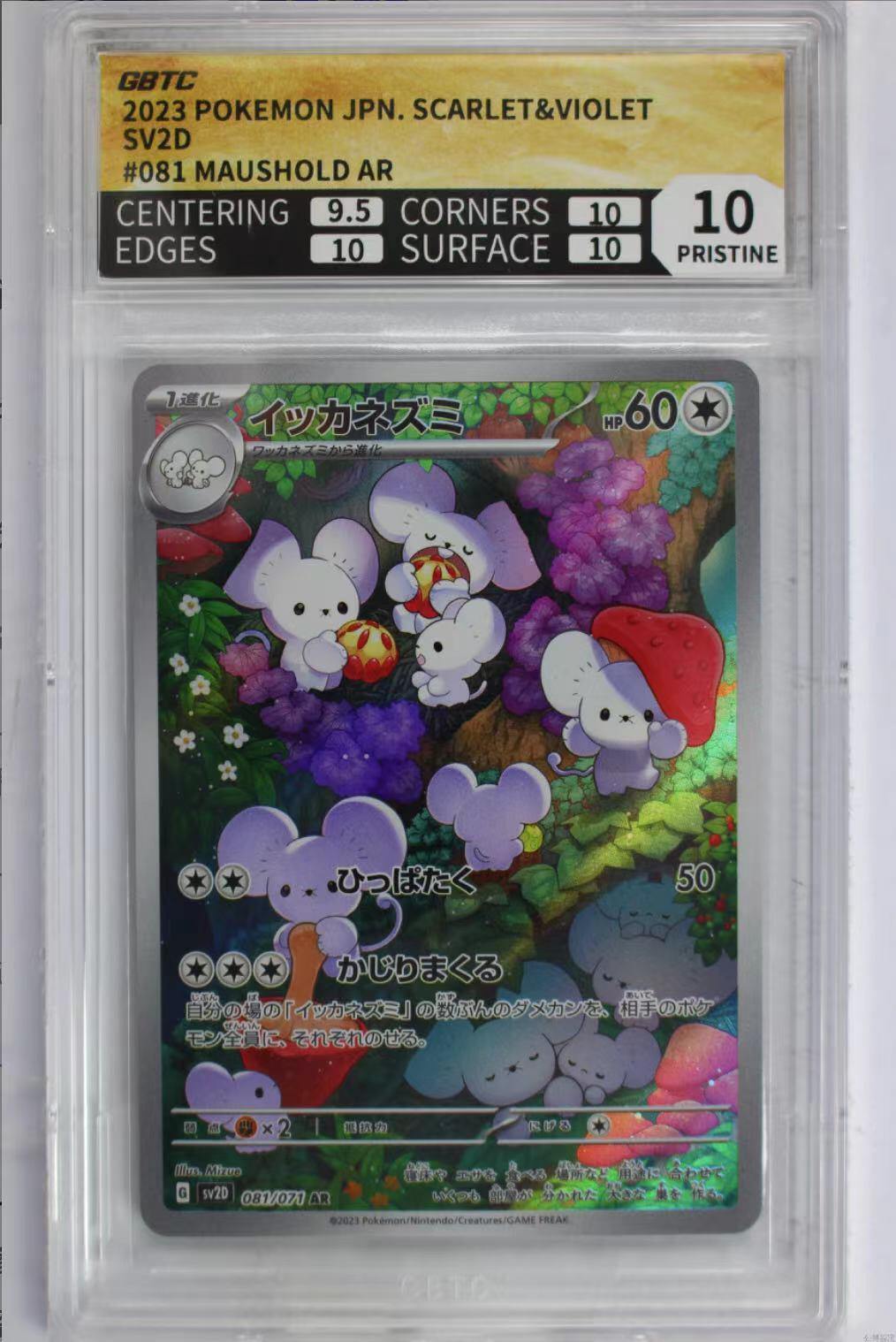 公博评价卡 日版 宝可梦 PTCG 一家鼠 SV2D-081 AR