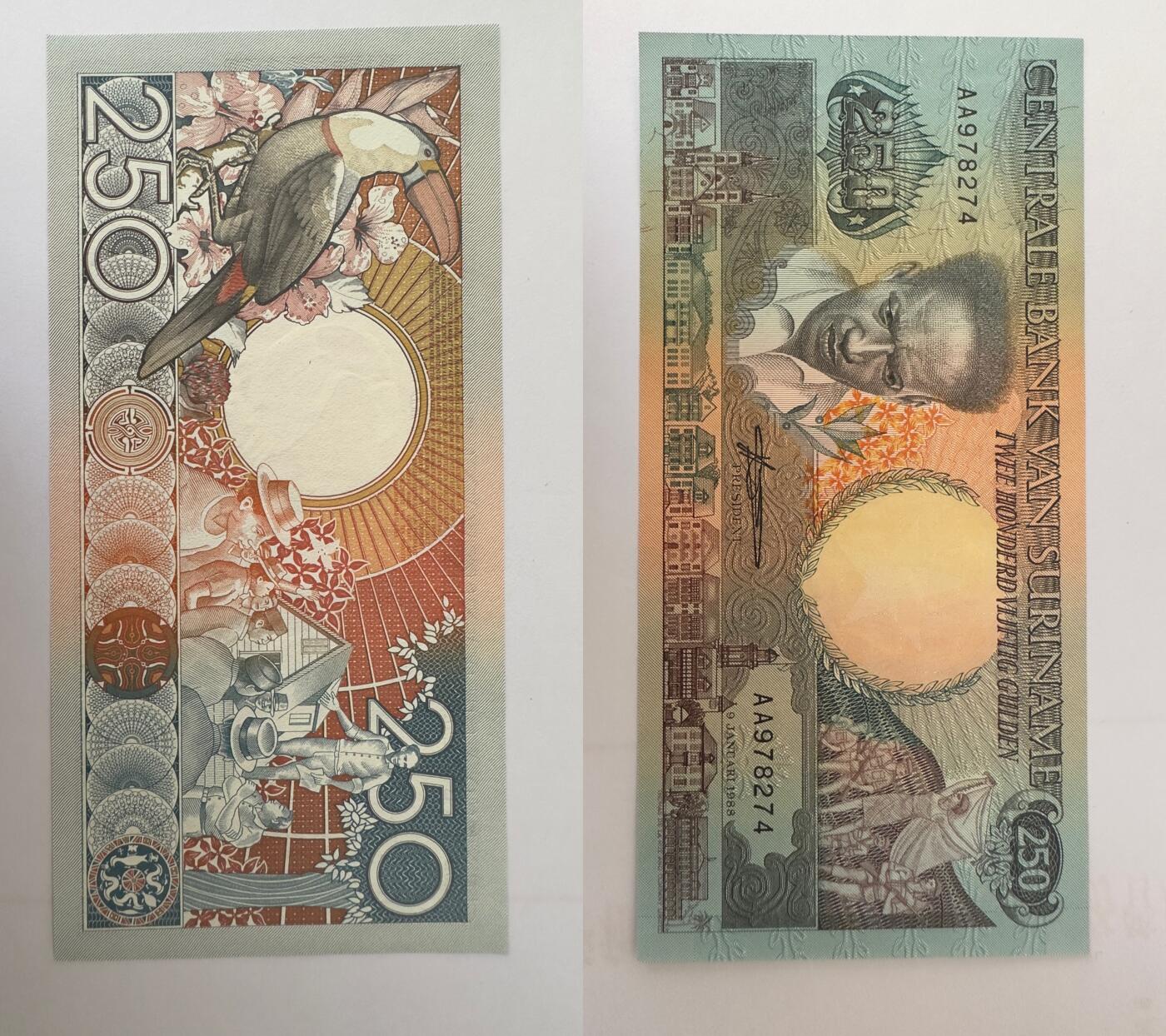 通元堂专场第四期 苏里南250盾