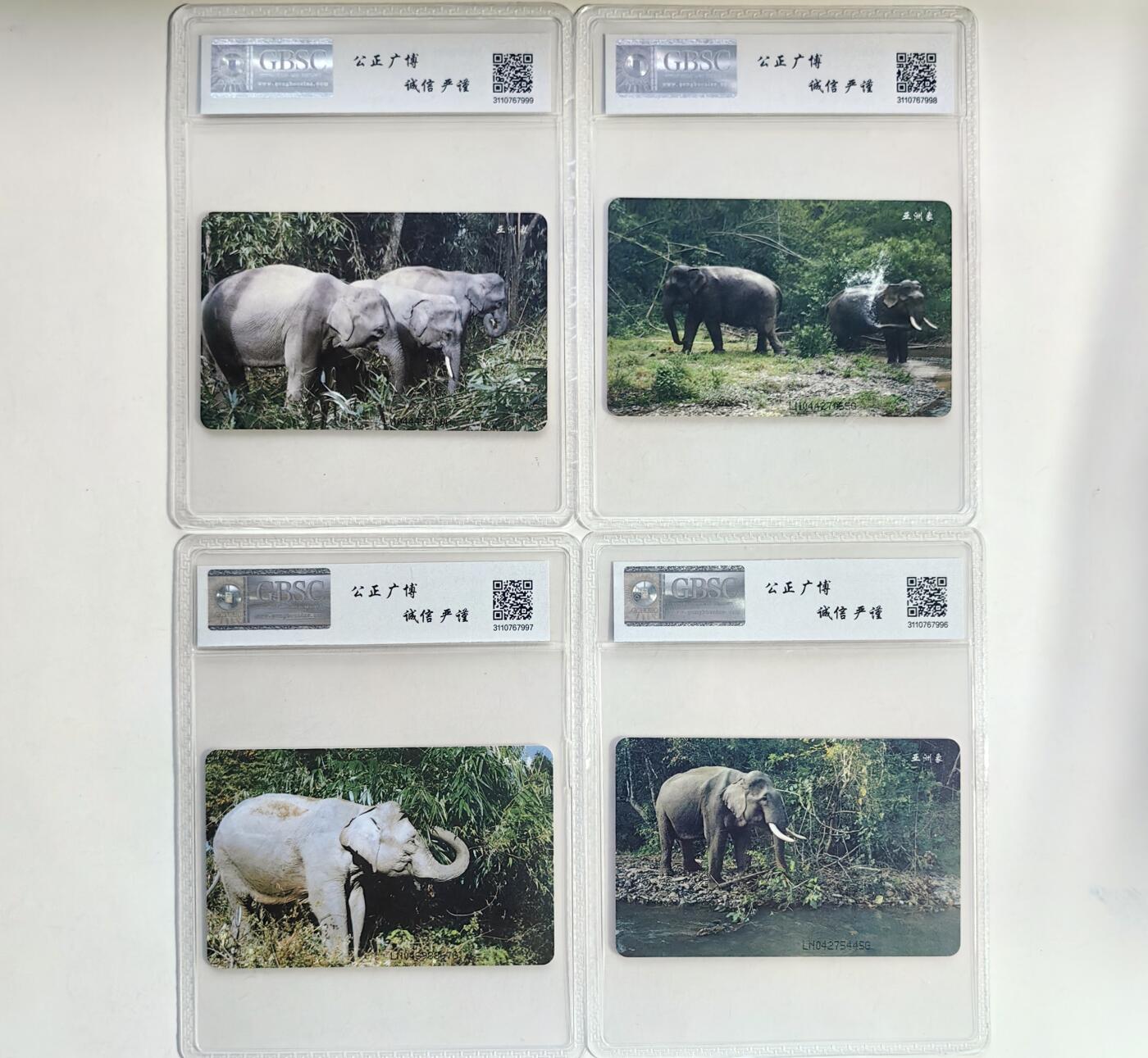 【乐玩集藏】第39期评级电话卡专场（CGC生肖24全首秀） IC-40亚洲象 LN版公博69分 高分稀有