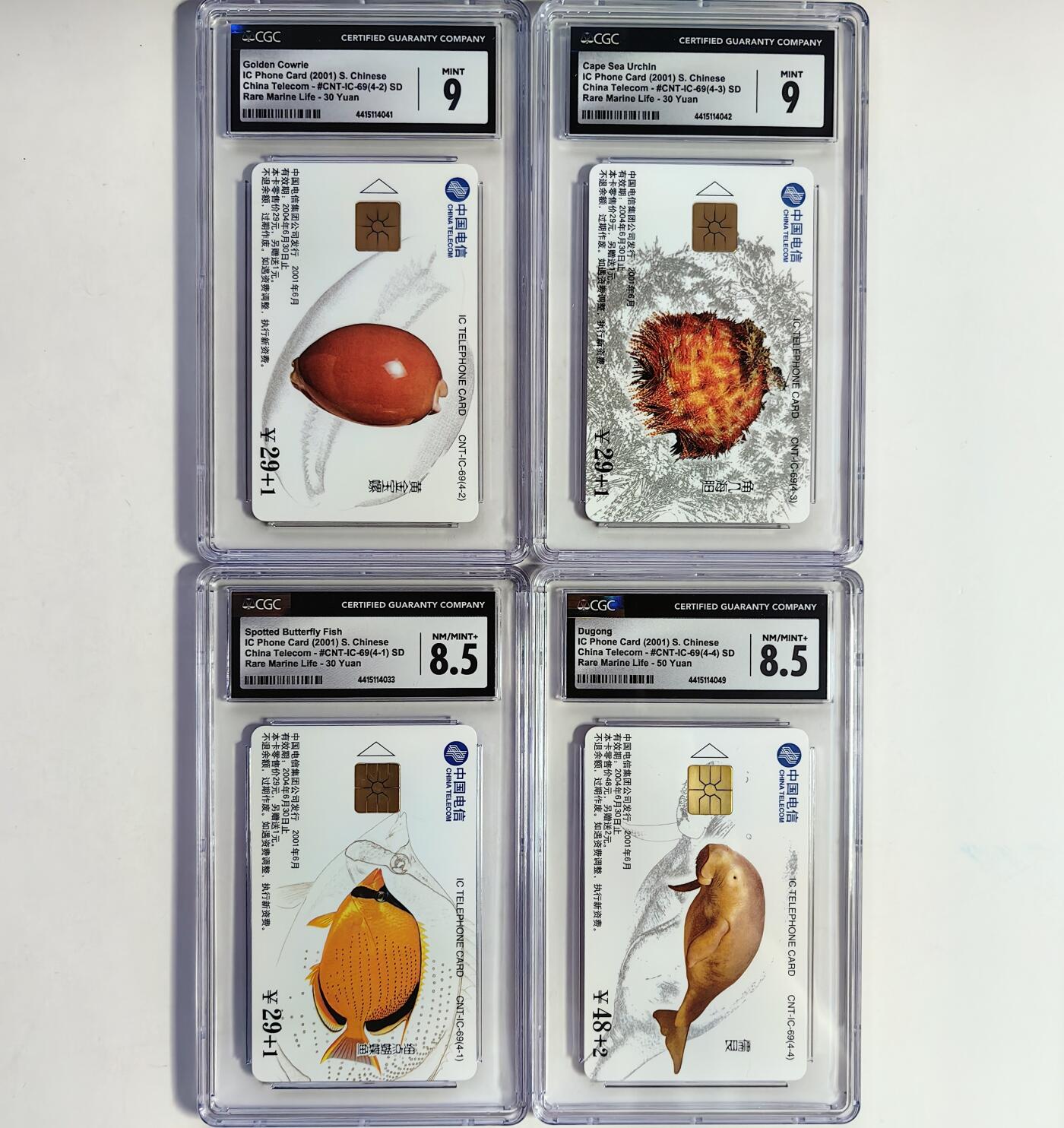 【乐玩集藏】第39期评级电话卡专场（CGC生肖24全首秀） IC-69海洋生物 SD版CGC8.5*2，9*2分 原地版