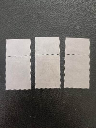 95外国邮票 梵蒂冈1972年 红衣主教比萨里奥逝世500周年 3全新雕刻板 带边纸 所见即所得 95外国邮票 梵蒂冈1972年 红衣主教比萨里奥逝世500周年 3全新雕刻板 带边纸 所见即所得