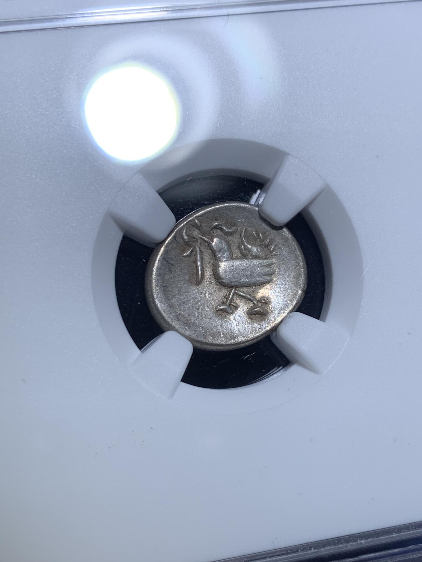 《竞宝斋》第299场- 周日，周一  2场连拍 （全场包邮） NGC AU55 柬埔寨1847-1860年小鸟银币，经典品种，传世粉灰彩