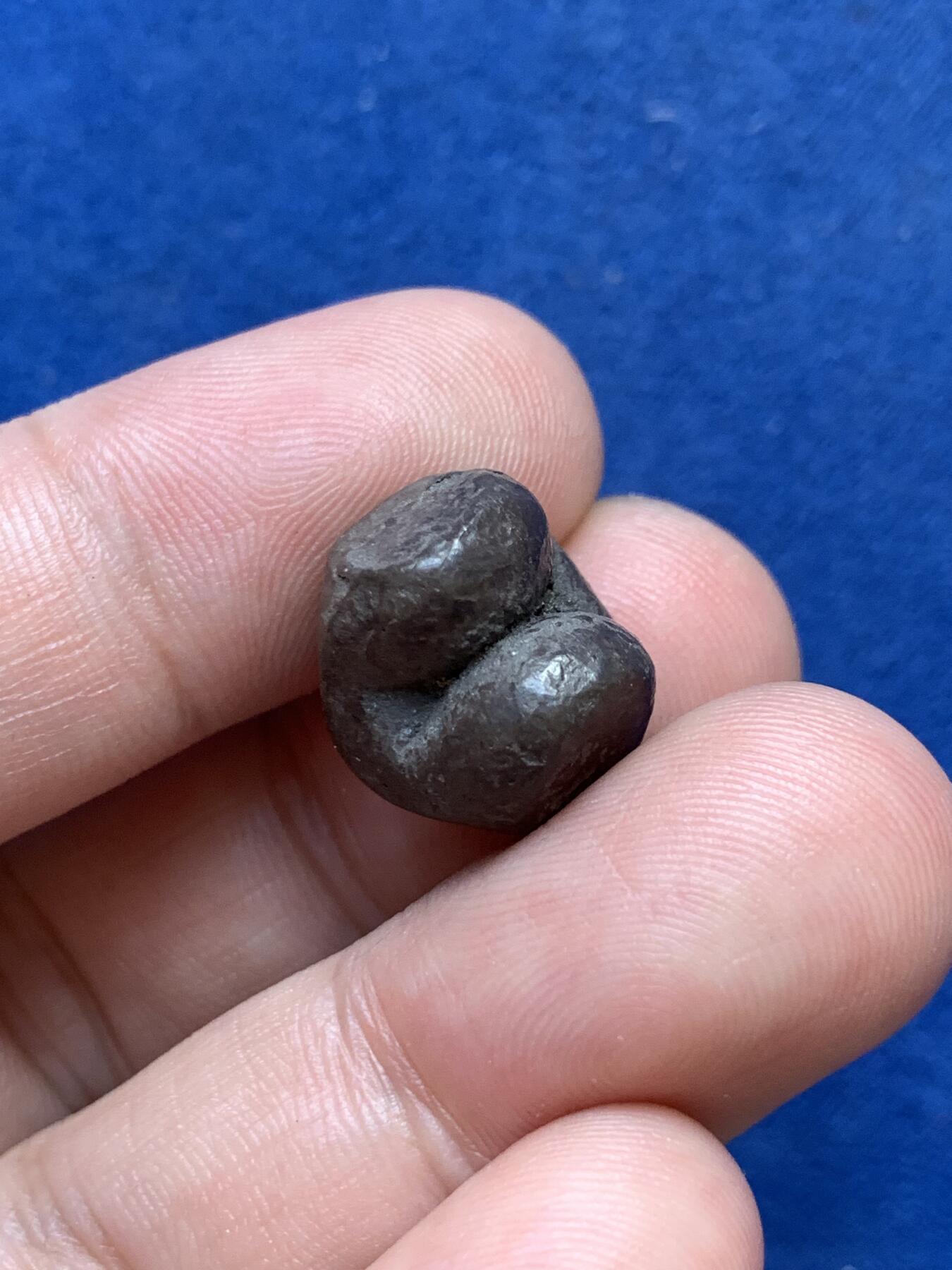 《竞宝斋》第299场- 周日，周一  2场连拍 （全场包邮） 泰国屁股银锭一株15g