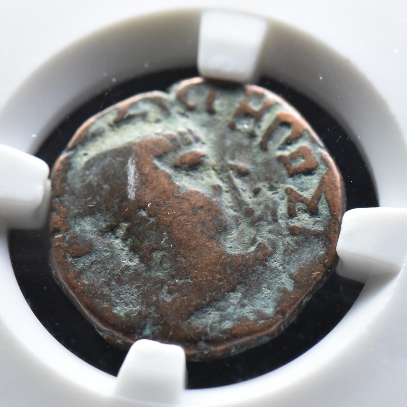 【良泉】2024年最后一场，200组！12月19日晚19.30点开拍！