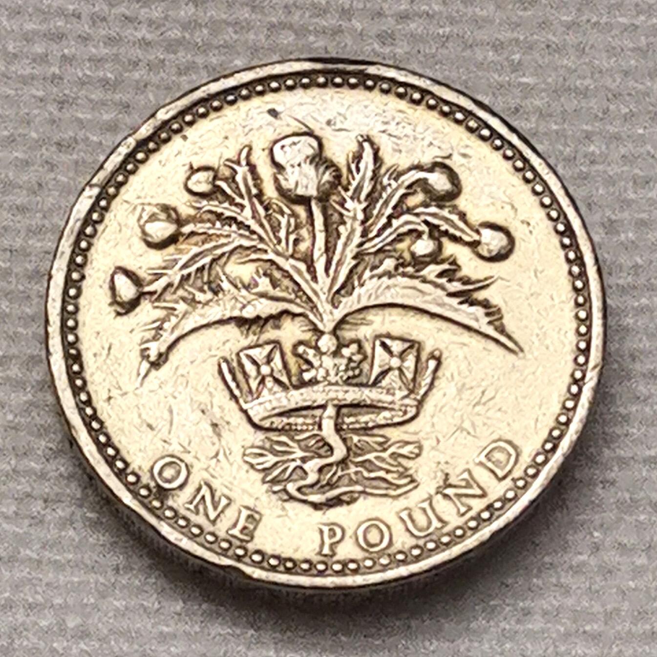 海外回流1元起拍小铺 各国钱币散币场 第15期 英国1984年1镑 蓟花 