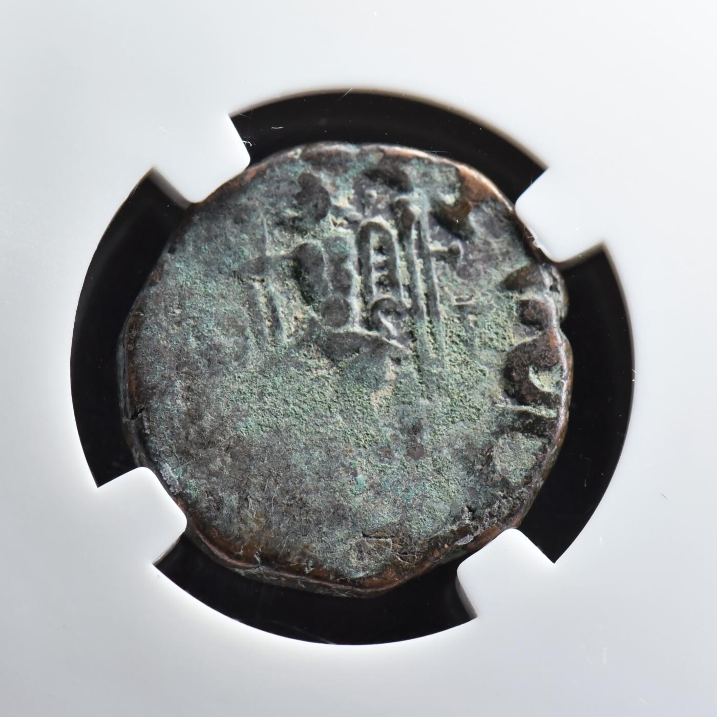 【良泉】2024年最后一场，200组！12月19日晚19.30点开拍！