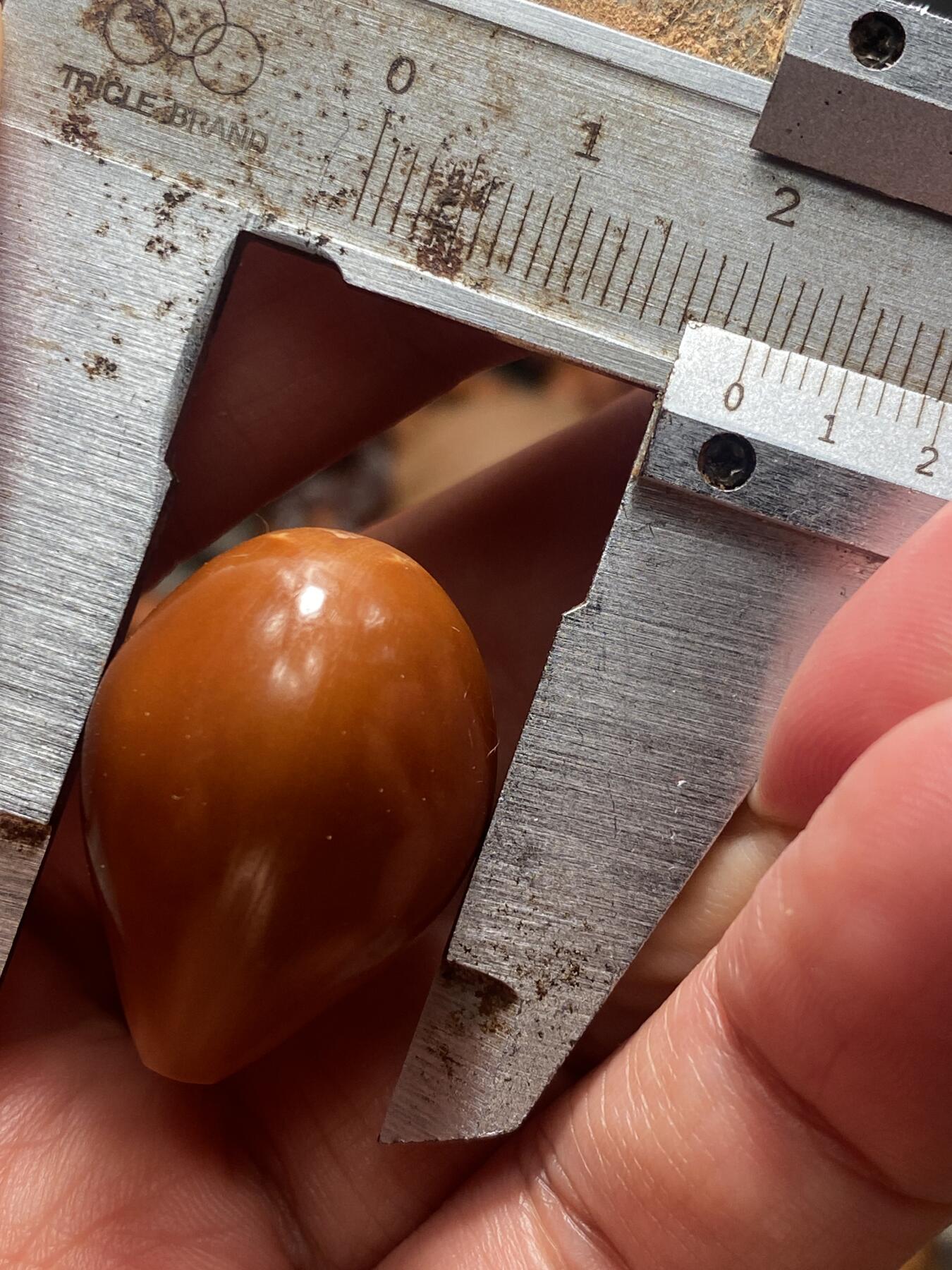 苏工核雕放漏价 苏工核雕老铁核手工三通，老籽市场极罕见，喜欢的来，尺寸2.05x2。75可搭任何串串