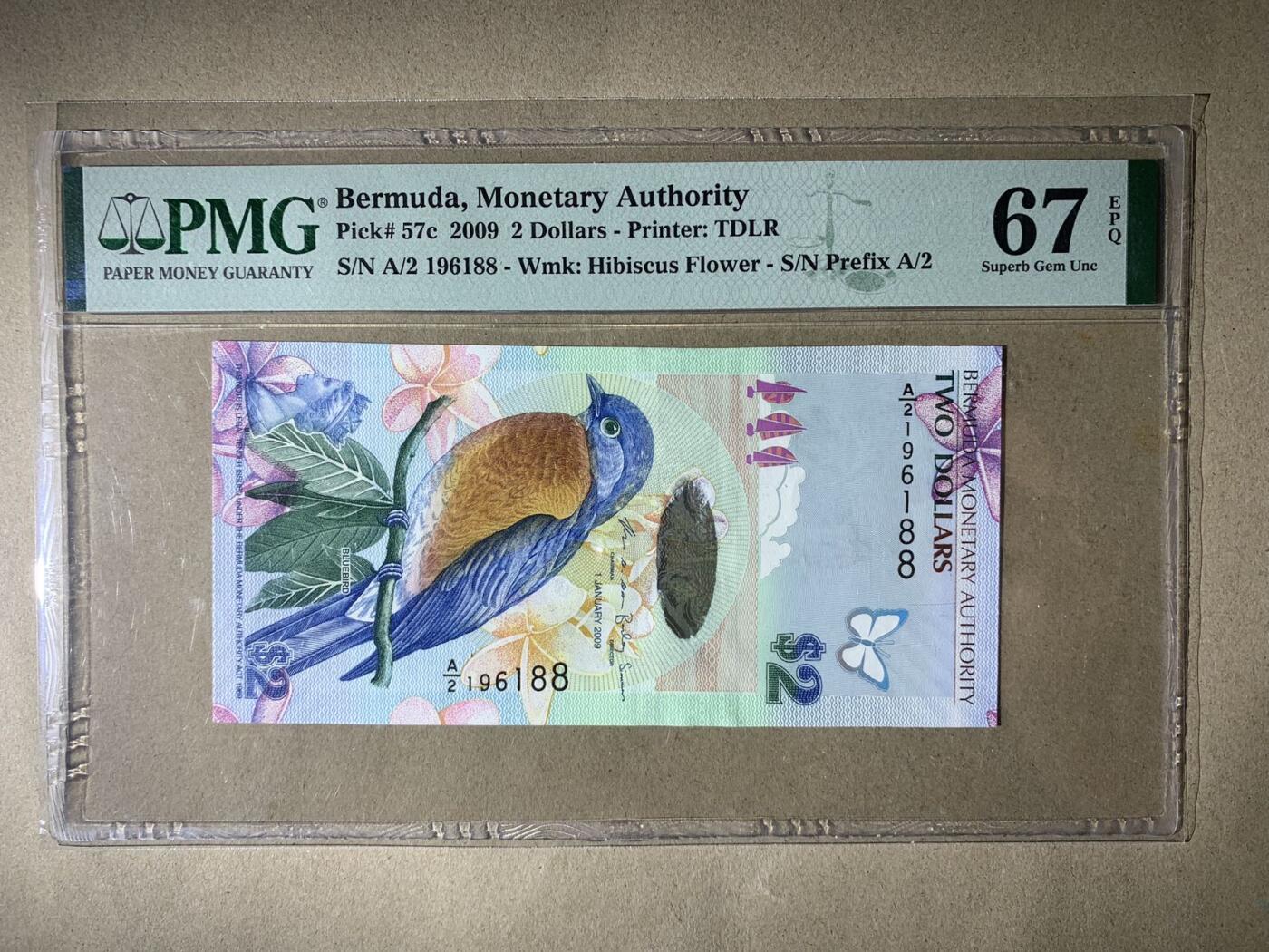 【礼羽收藏】🌏世界钱币拍卖第113期