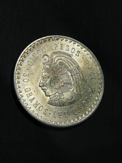 臻藏泉阁国内外钱币 - 墨西哥印第安人酋长银币