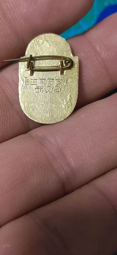 毛主席像章、徽章拍场，都是精品小章 异形章章🔥🔥要斗私批修🔥🔥毛主席像章，可佩戴