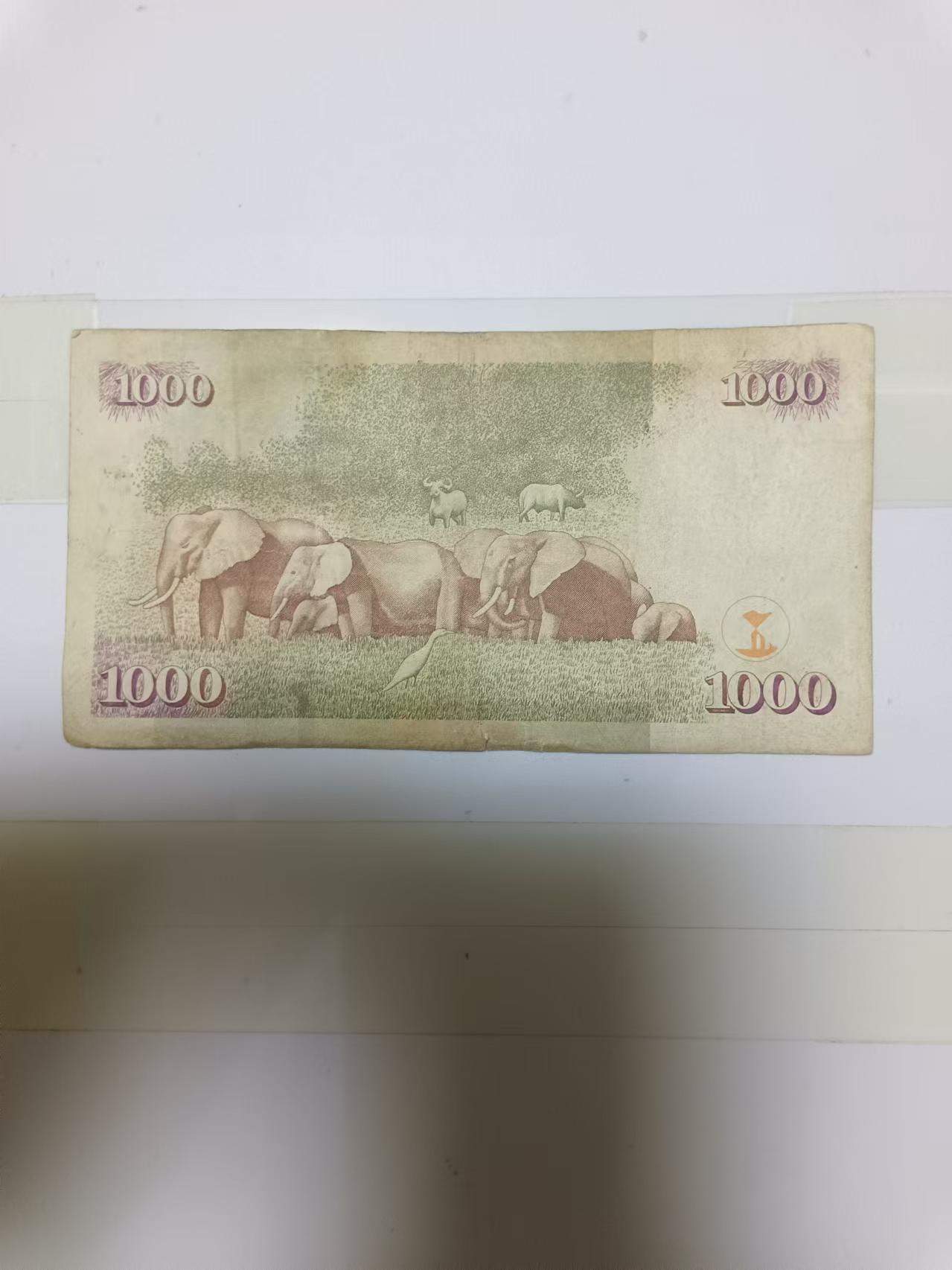 【20240828】非全新纸币第159场 肯尼亚1000先令