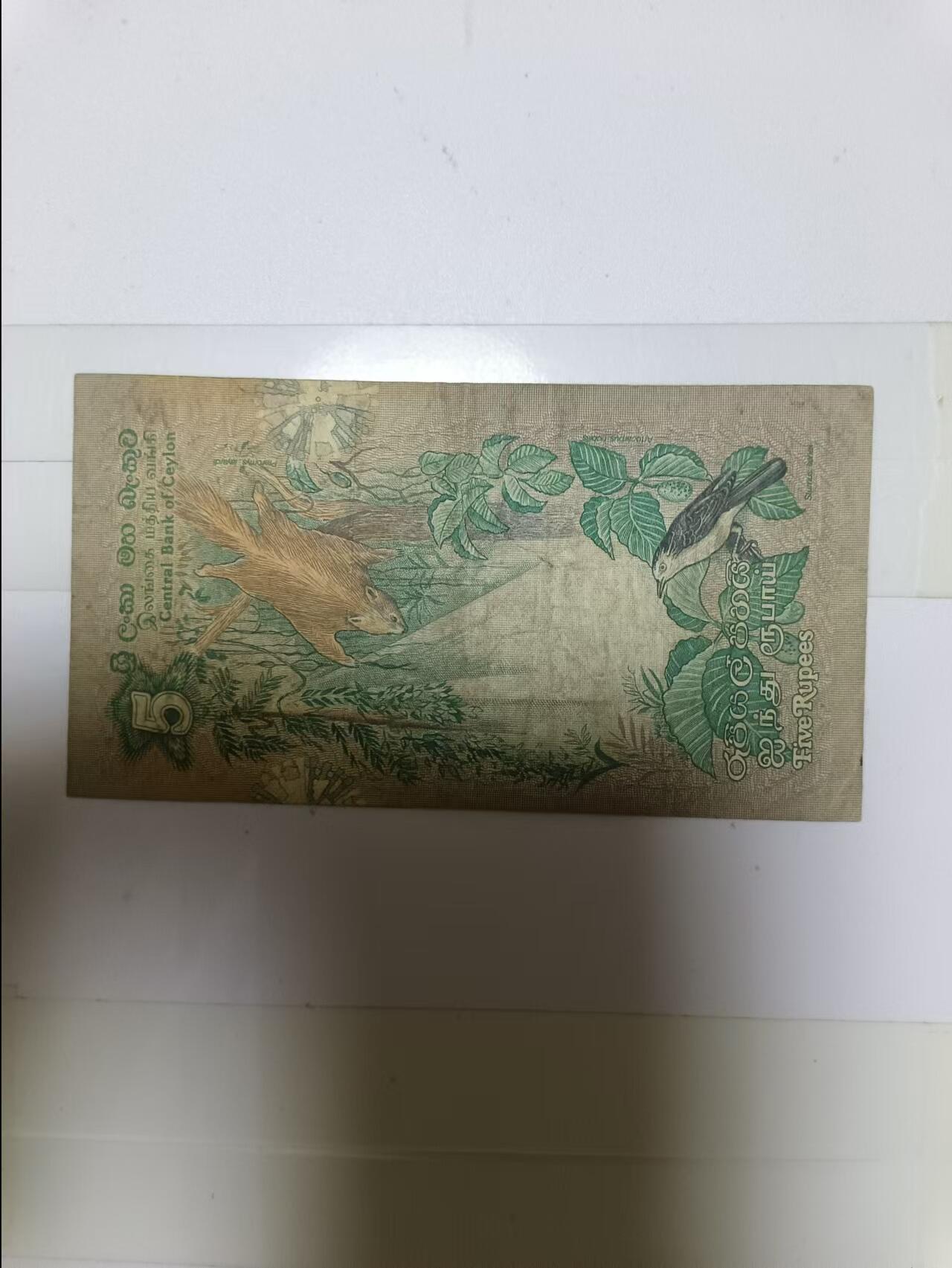 【20240829】非全新纸币第160场 斯里兰卡5卢比