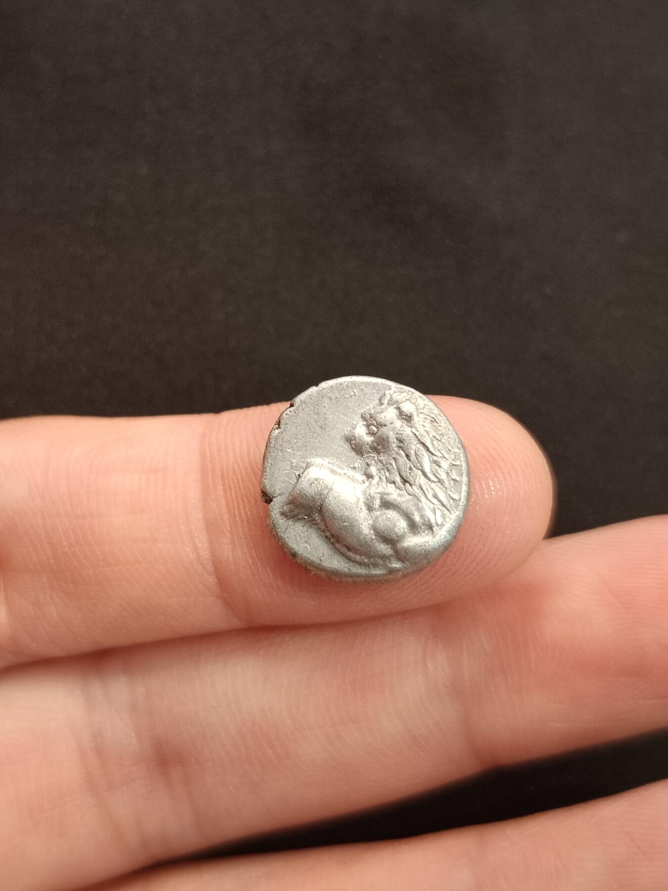 古希腊银币回首狮