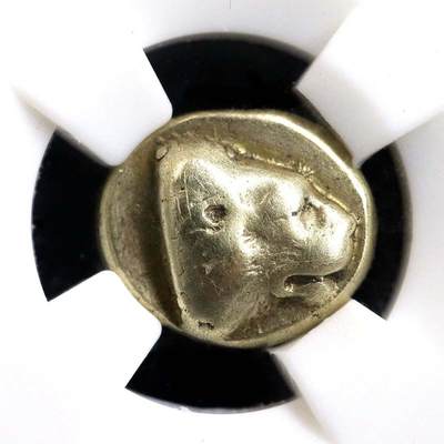 古希腊琥珀金币狮子头和凹雕公牛头凝绿轩经典金标币欧洲西方古币b23-25 - 古希腊琥珀金币狮子头和凹雕公牛头凝绿轩经典金标币欧洲西方古币b23-25