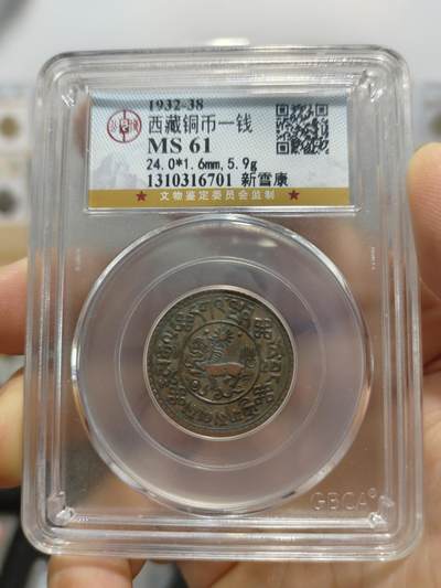 西藏铜币专场 - 西藏铜币新雪康公博评级币