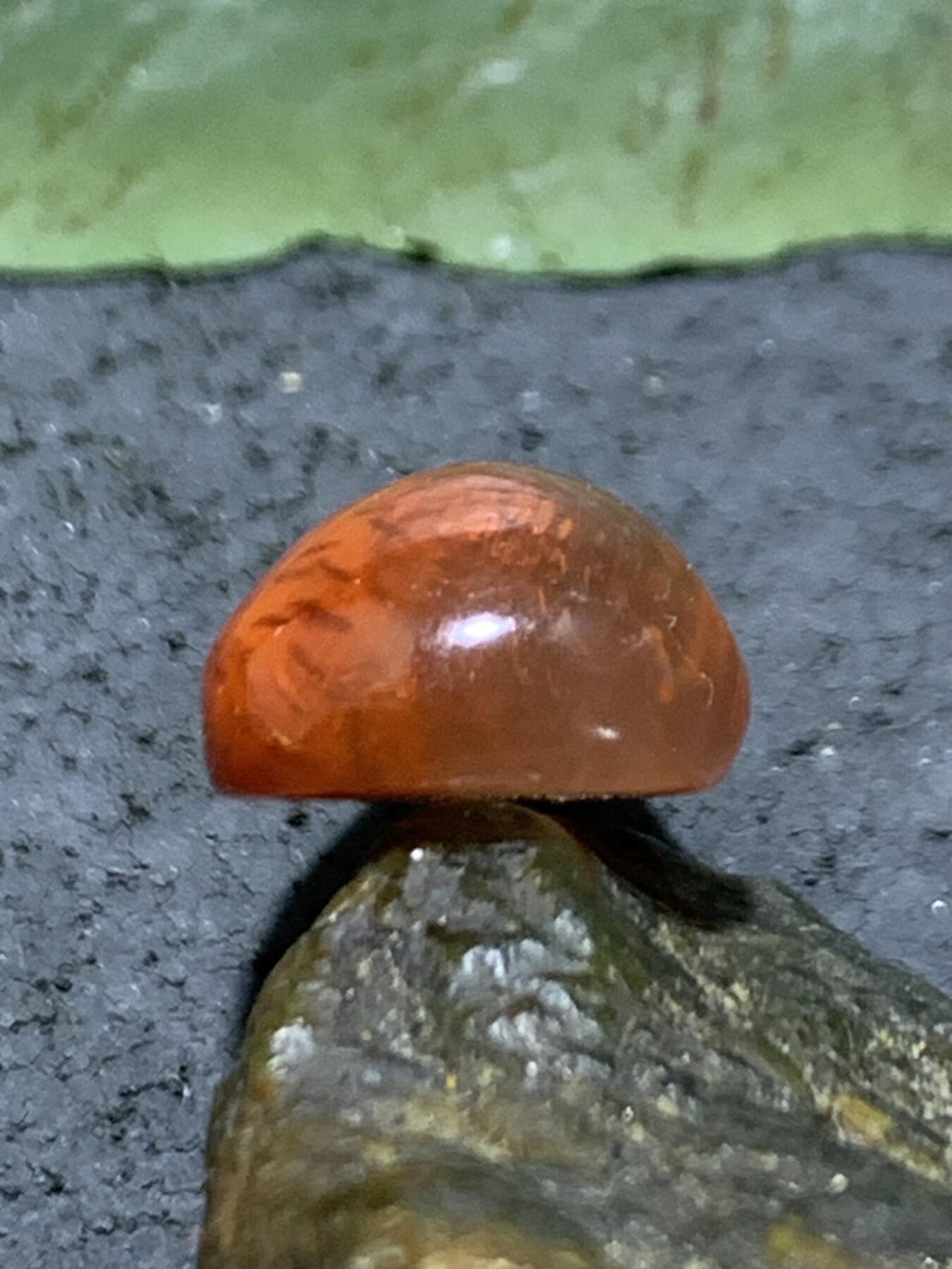 精美冰飘柿子红火焰纹南红玛瑙水滴形戒面一个，