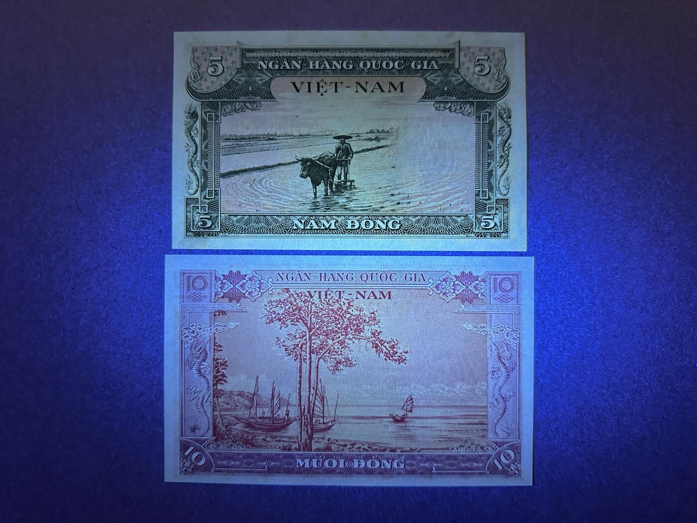 《张总收藏》165期-周日外币超精品 越南5、10盾2张 UNC- 南越1955年首版纸币 局部有黄 荧光
