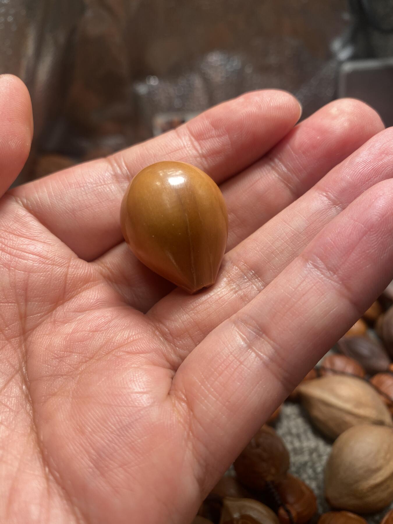 苏工核雕放漏价 福利苏工核雕纯手工三通，核界之天花板级，个性立体非市场通货，尺寸2。36x2.9喜欢的来