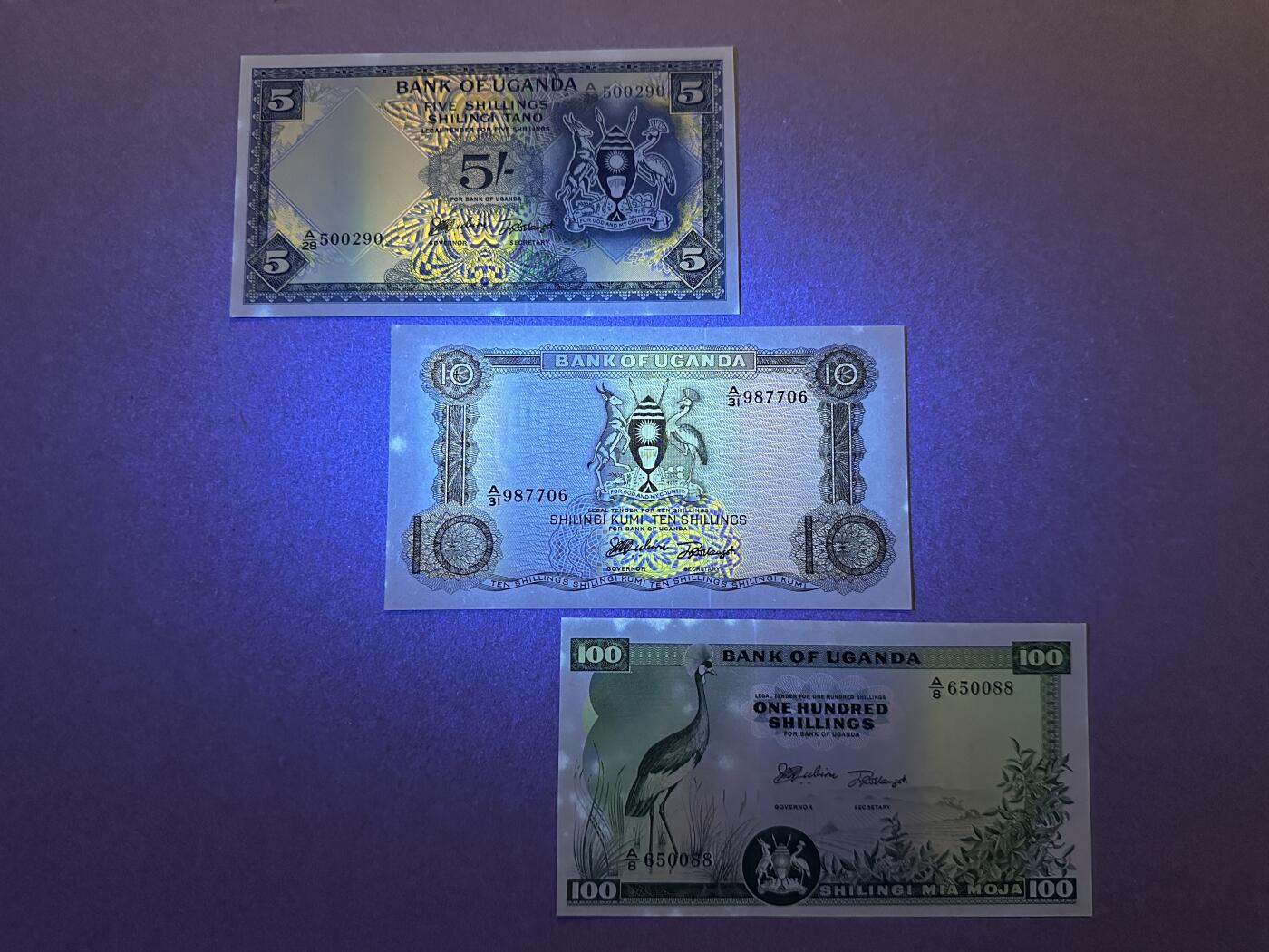 《张总收藏》165期-周日外币超精品 乌干达5、10、100先令3张 UNC- 1966年第一套纸币 局部泛黄荧光 全程无4