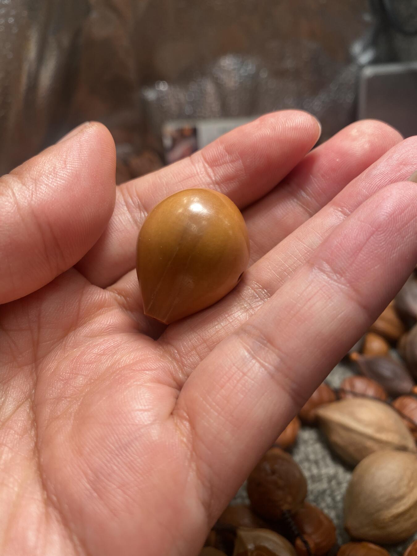 苏工核雕放漏价 福利苏工核雕纯手工三通，核界之天花板级，个性立体非市场通货，尺寸2。36x2.9喜欢的来