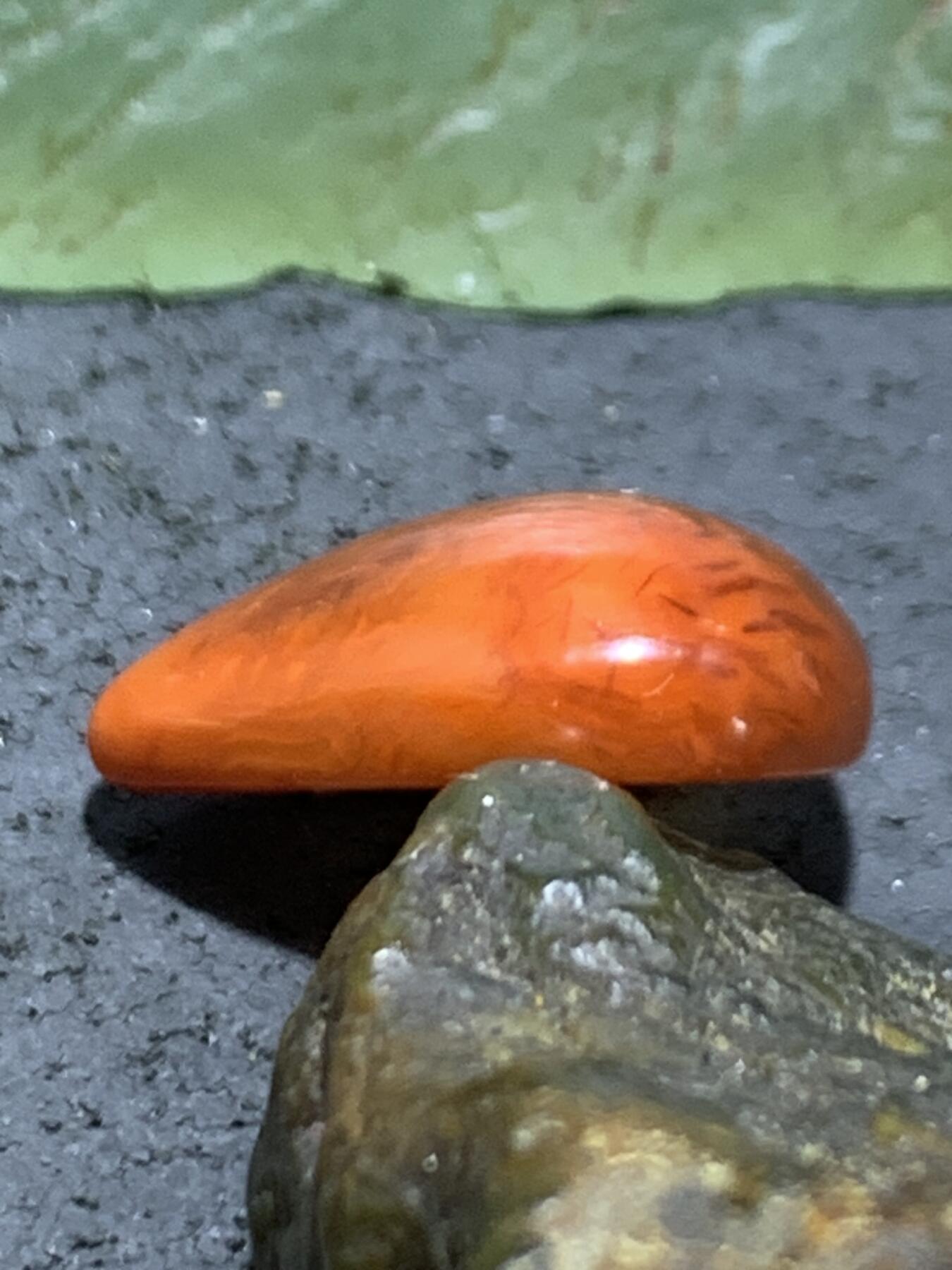 精美冰飘柿子红火焰纹南红玛瑙水滴形戒面一个，