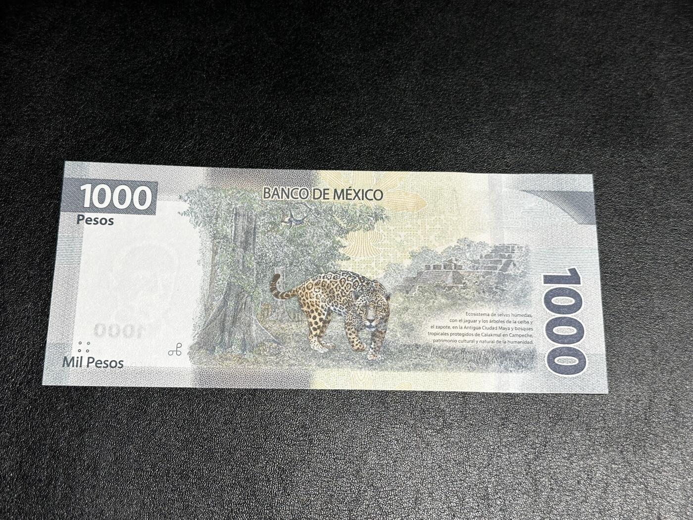 《外钞收藏家》第四百一十期 2019年墨西哥1000比索 全新UNC AA冠