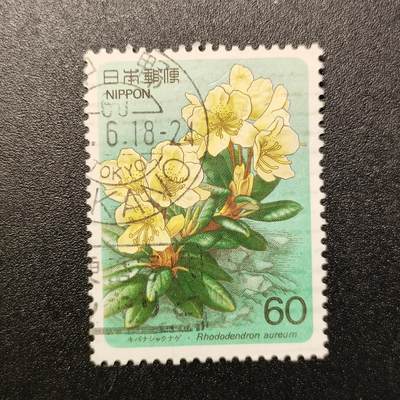 江湖杂货铺    【第67期】       【无佣金、全场包邮】 - 日本🇯🇵