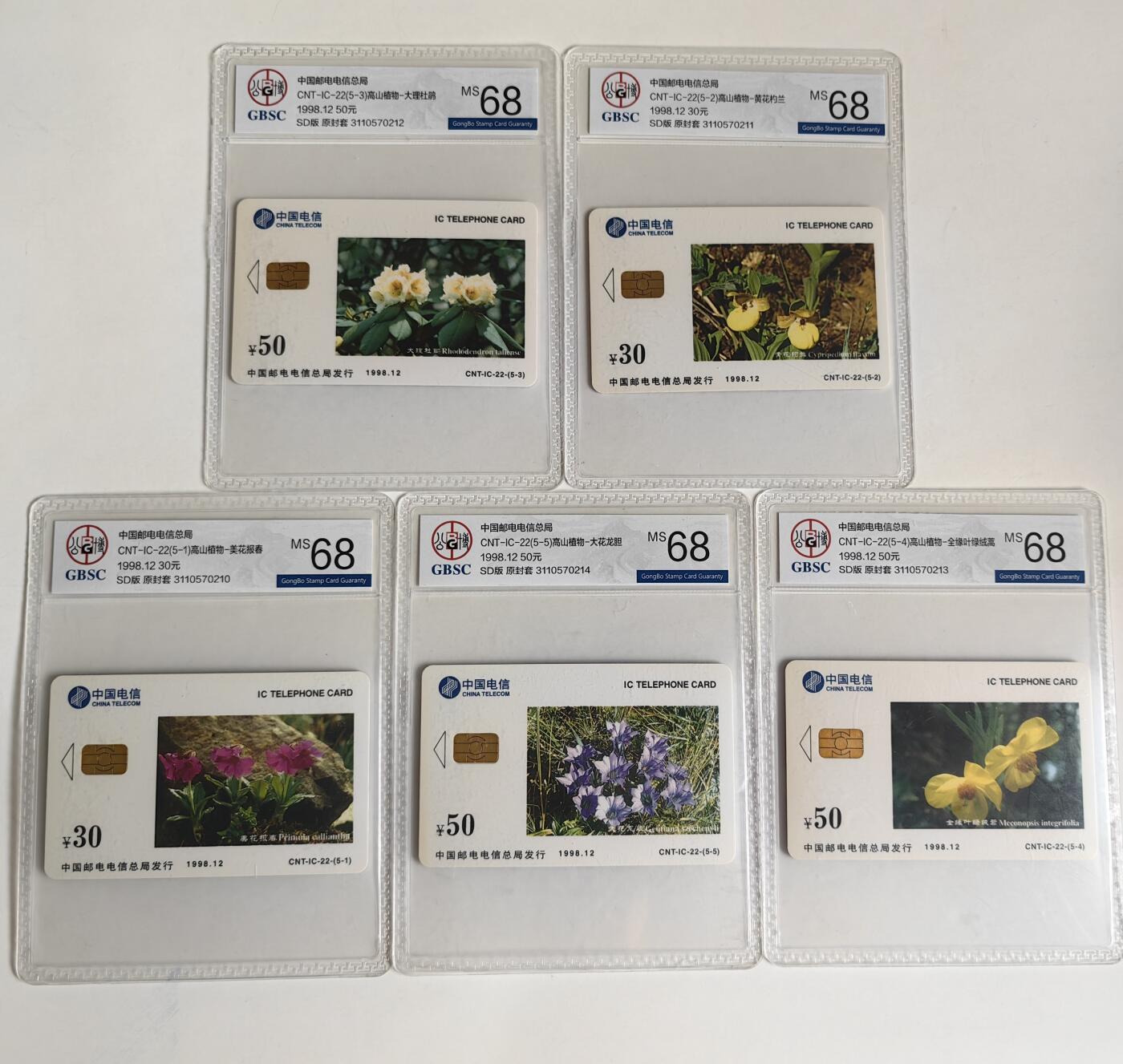 【乐玩集藏】第41期评级电话卡PCGS/GBSC/CGC专场（9.4日20:30结拍） IC-22高山植物 SD版公博68