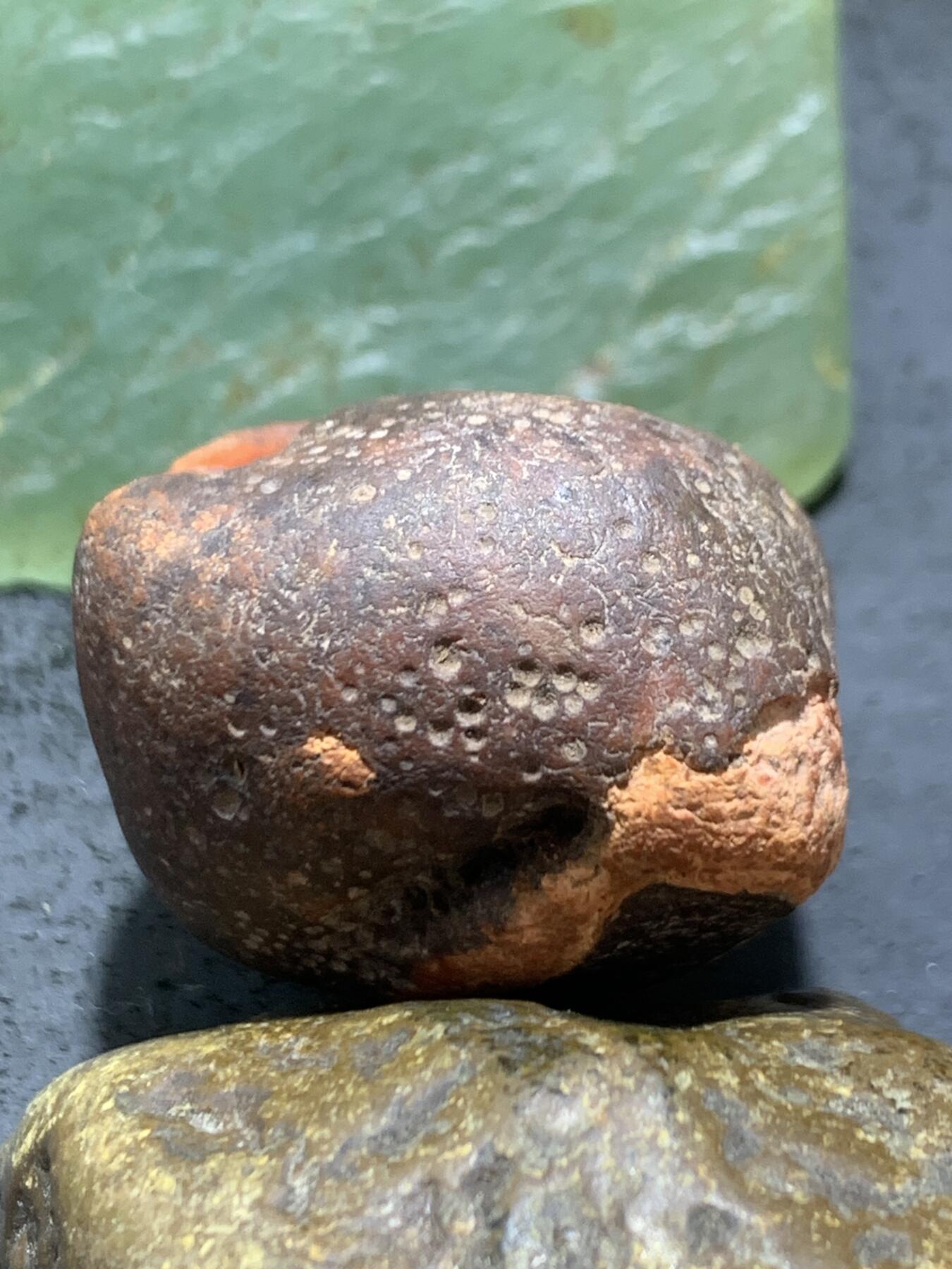 精美开窗铁皮南红玛瑙原石一颗，
