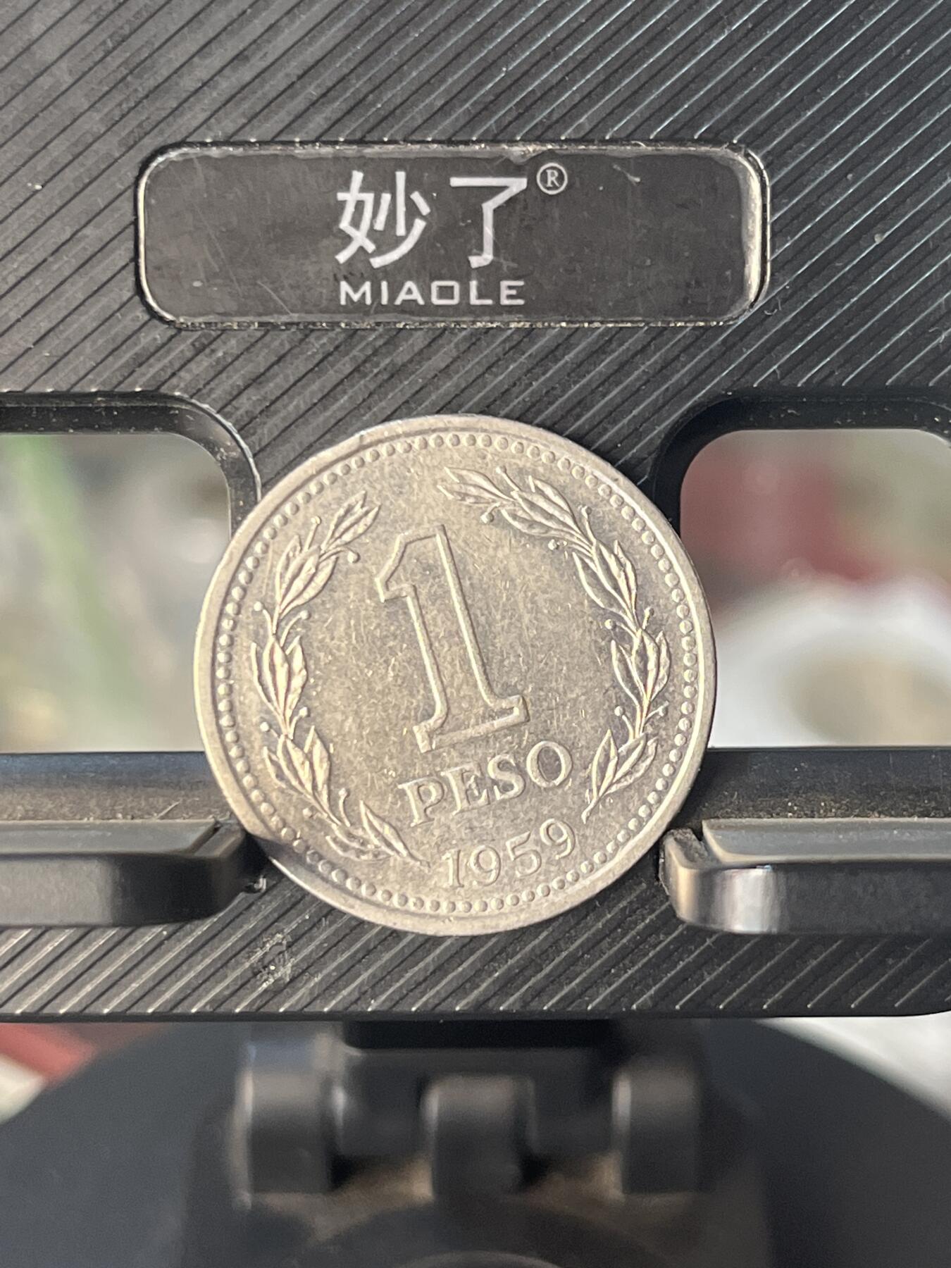 外币 阿根廷
