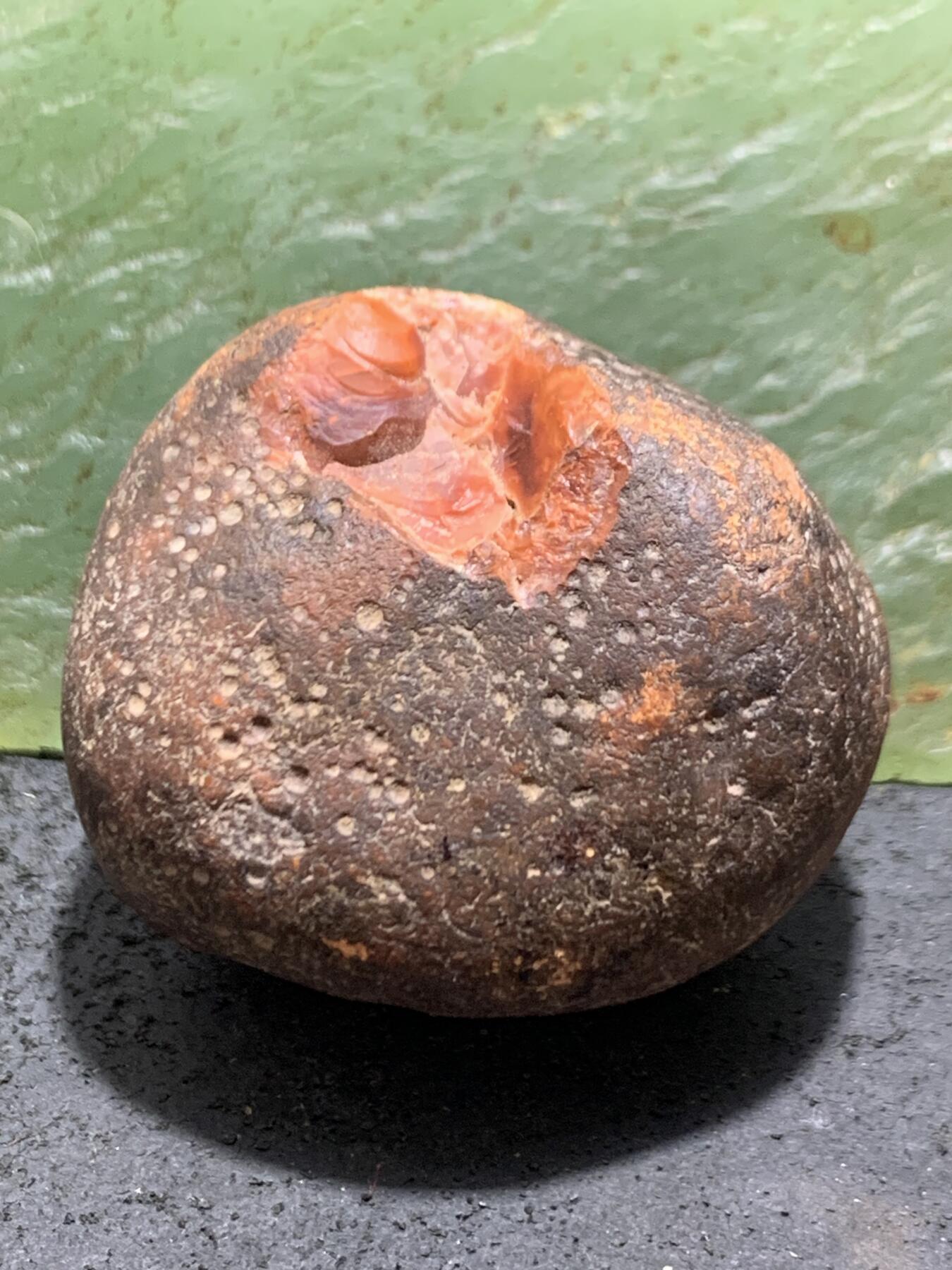 精美开窗铁皮南红玛瑙原石一颗，