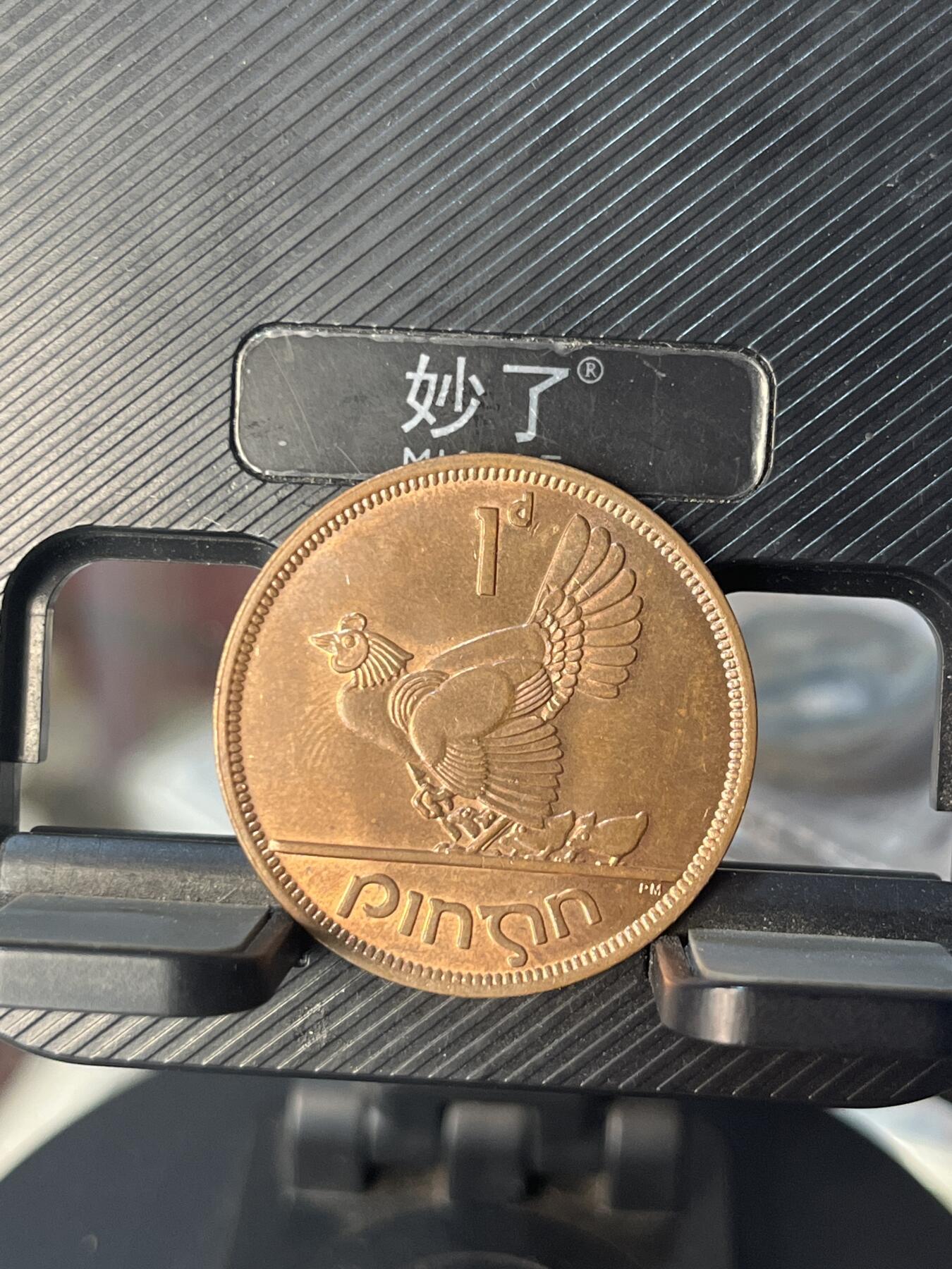 外币 爱尔兰