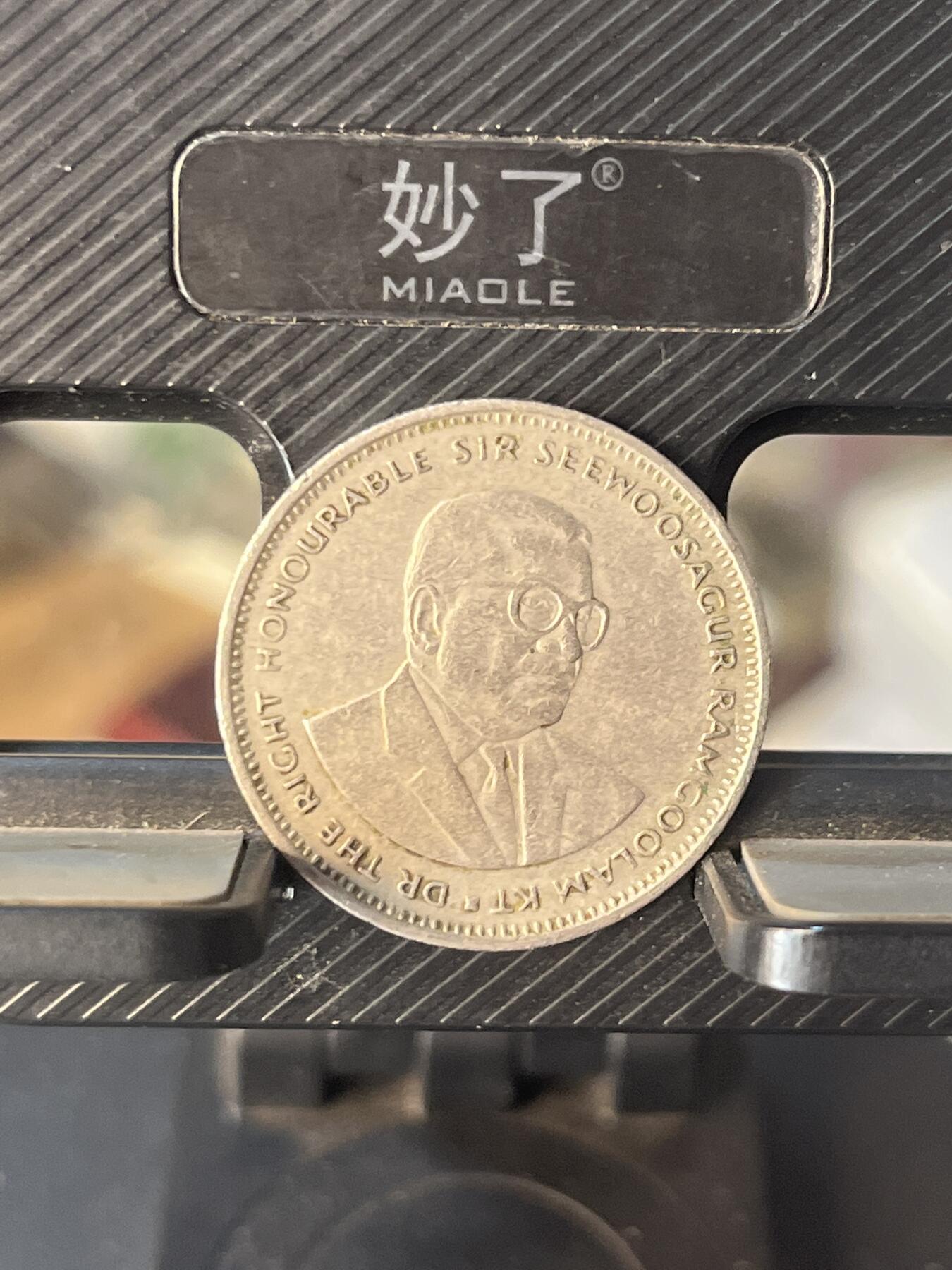 外币 毛里求斯