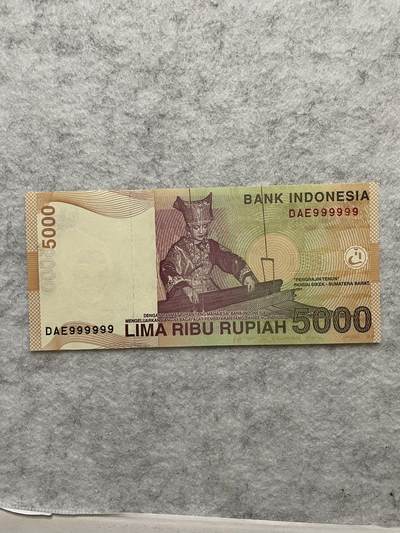 外币 日本 印度尼西亚 印度尼西亚5000通天号999999