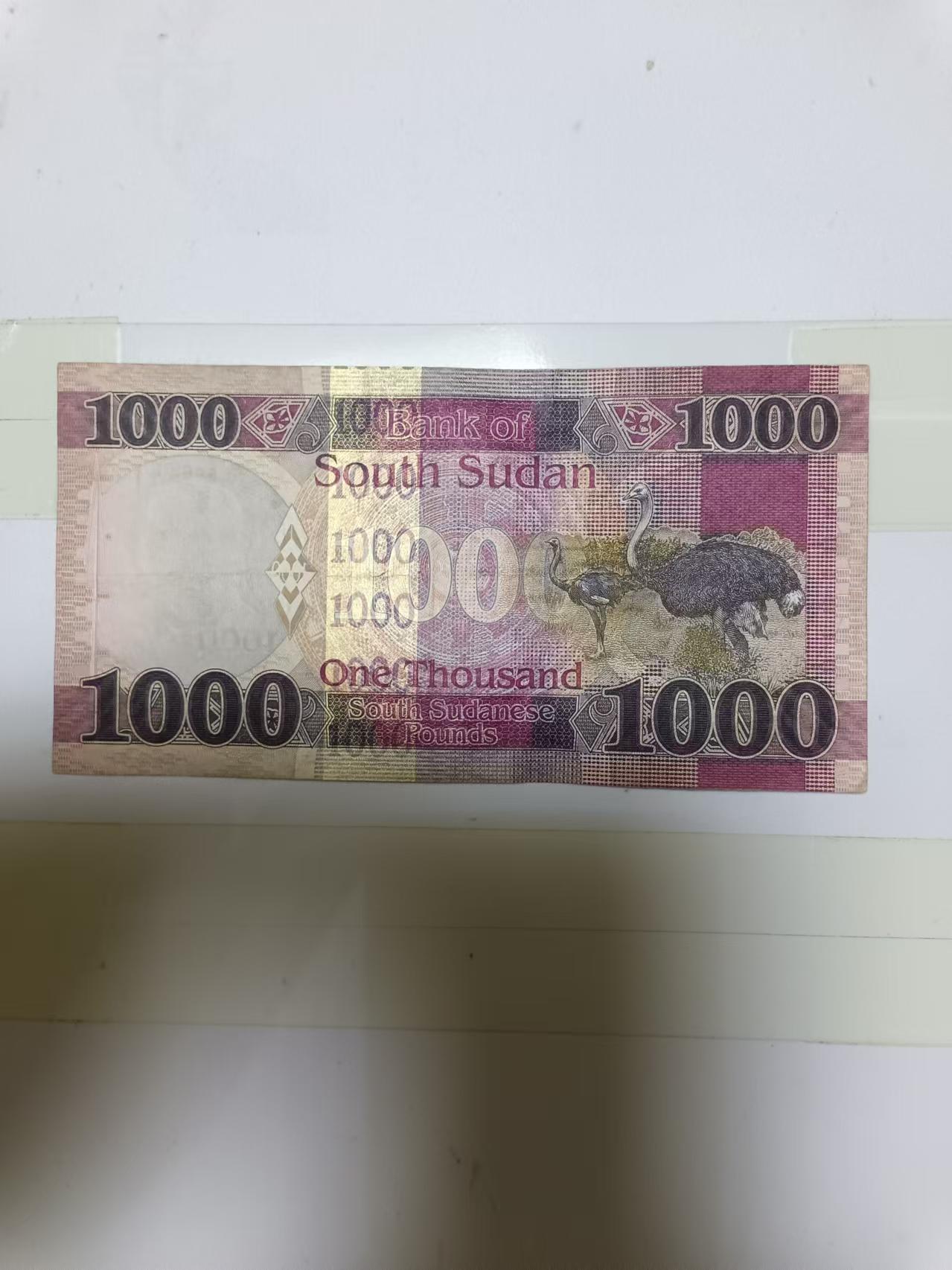 【20240908】非全新纸币第163场 南苏丹1000镑，好品