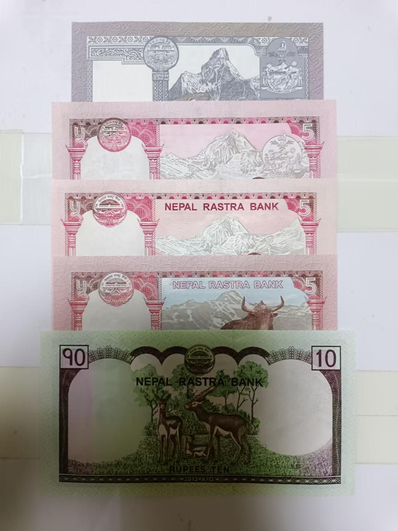 【20240908】非全新纸币第163场 尼泊尔5张纸币