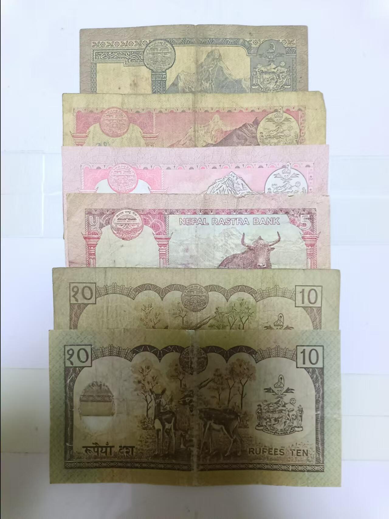 【20240908】非全新纸币第163场 尼泊尔6张纸币，有裂缝和字迹