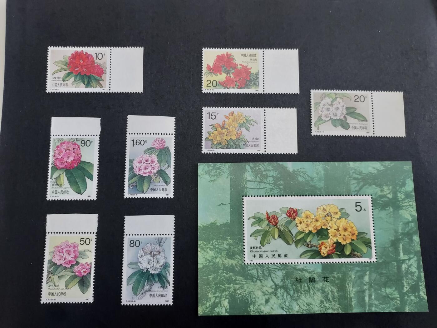 理想集藏/博彦收藏 9月5日 邮票专场 T162/162M 个别微黄，上品/近全品