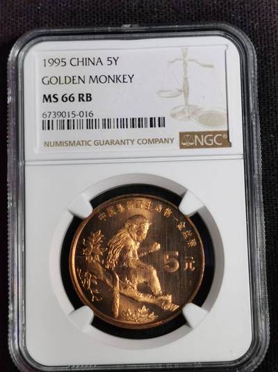 刘世昌艺术品销售中心～虎踞龙蟠*金杨在线联拍群第508期 - 1995年流通纪念币“金丝猴”（NGC   MS66RB   串号：6739015-016）1枚。
