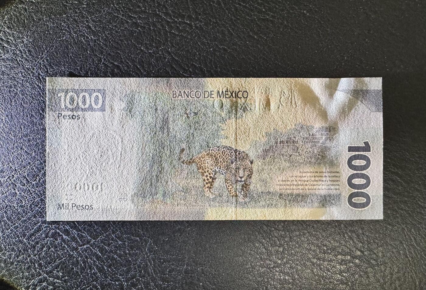 收藏联盟Quantum Auction 第374期拍卖  墨西哥2019年1000比索 品相全新UNC AA首发冠 墨西哥第三十三总统马克罗