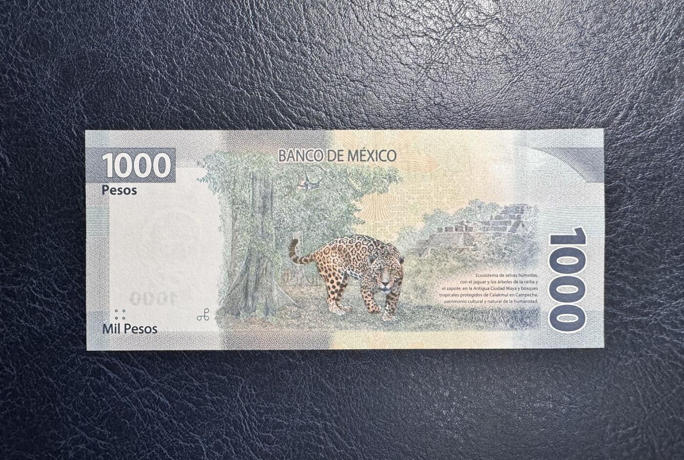 收藏联盟Quantum Auction 第374期拍卖  墨西哥2019年1000比索 品相全新UNC AA首发冠 墨西哥第三十三总统马克罗