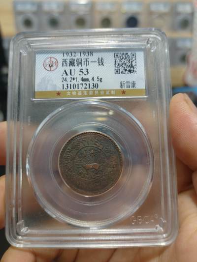 西藏铜币专场 - 西藏铜币新雪康一枚