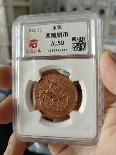 西藏铜币专场 - 西藏铜币雪阿一枚