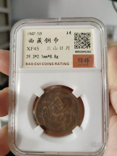 西藏铜币专场 - 西藏铜币雪阿一枚