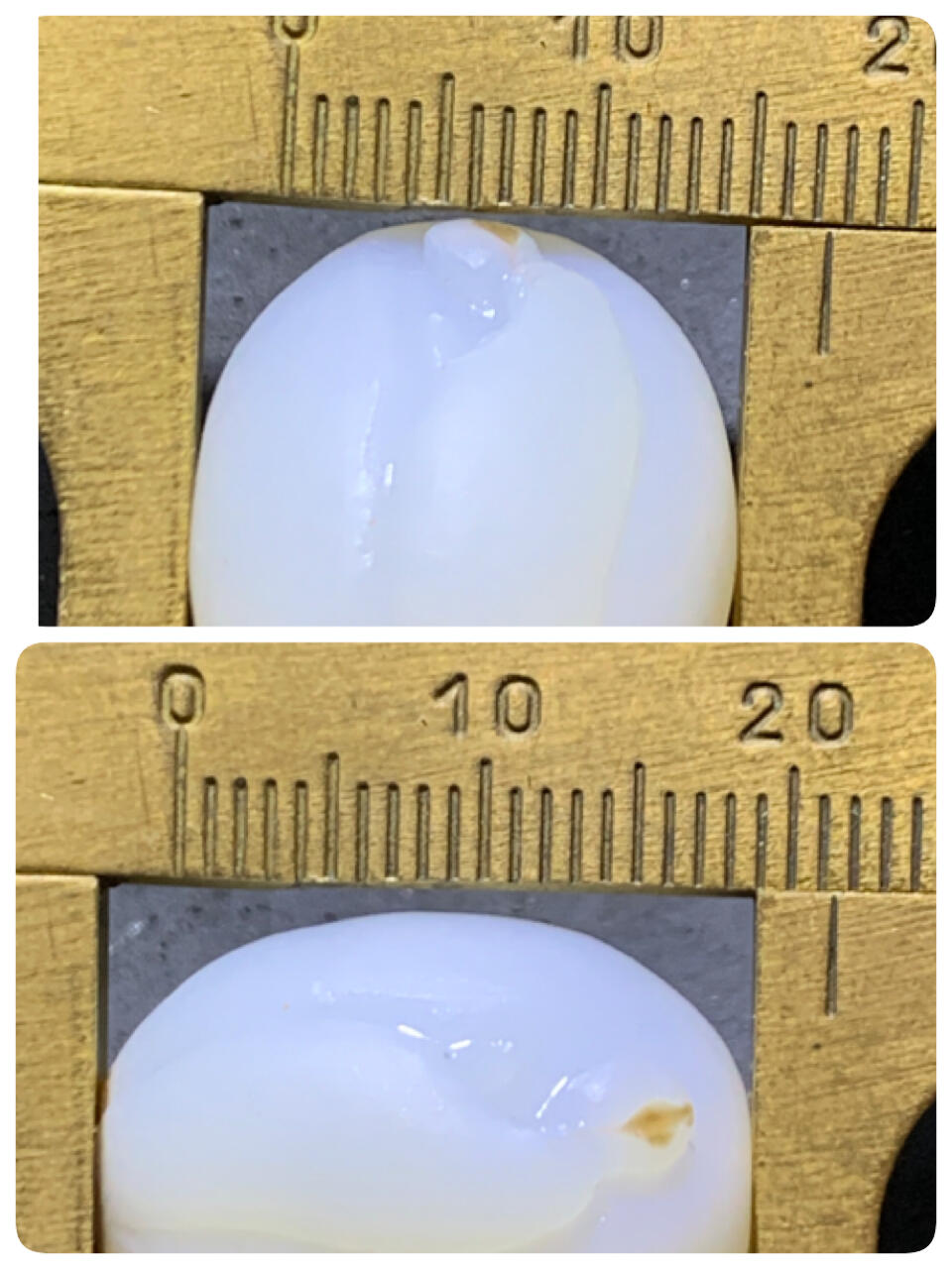 精美亚光高玉化海洋玉髓手工俏色巧雕无相佛桶珠一个！