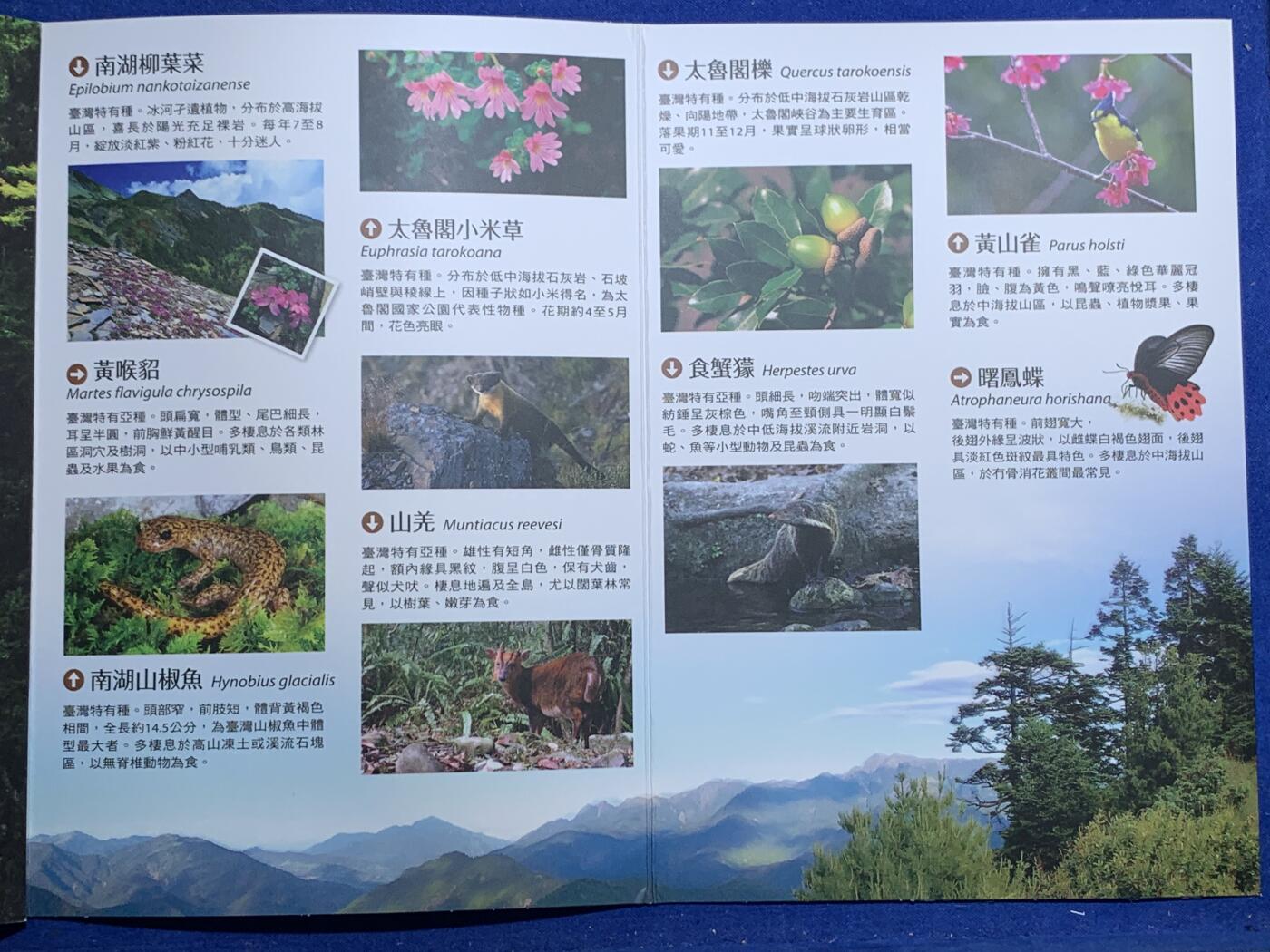 《竞宝斋》第305场   周日，周一 2场连拍 （全场包邮） 台湾省公园采风系列套币-太鲁阁公园 少见品种含特殊年份莫那鲁道纪念币