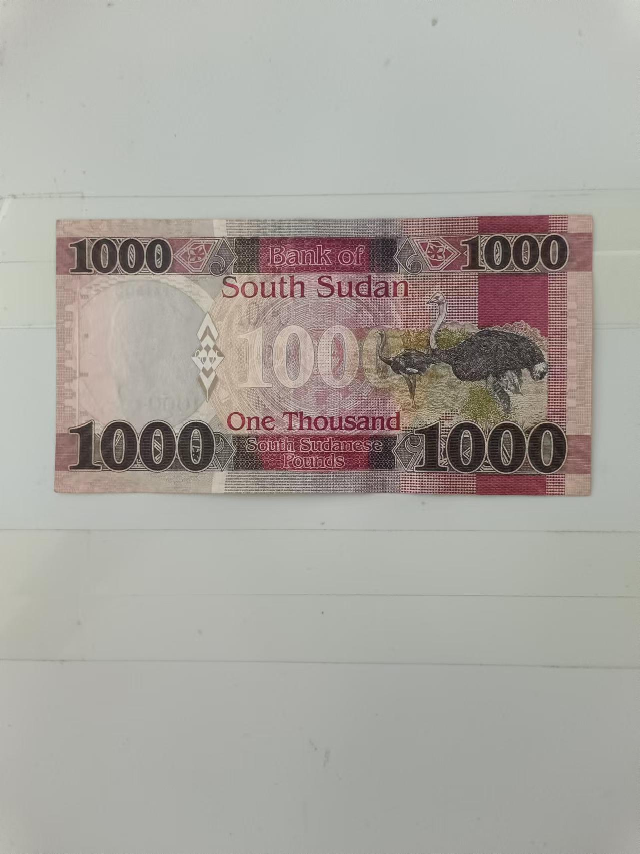 【20240911】非全新纸币第164场 南苏丹2020年1000镑，好品