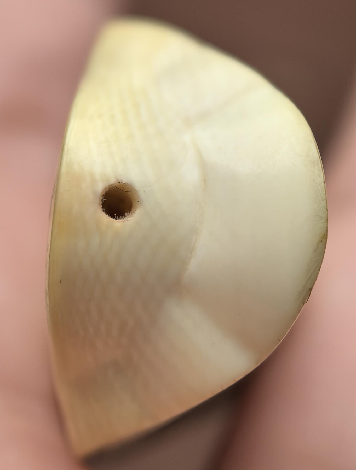 牙雕关公吊坠挂件 网状交织纹清晰可见  原皮 尺寸:5*3.1*1.6cm ​