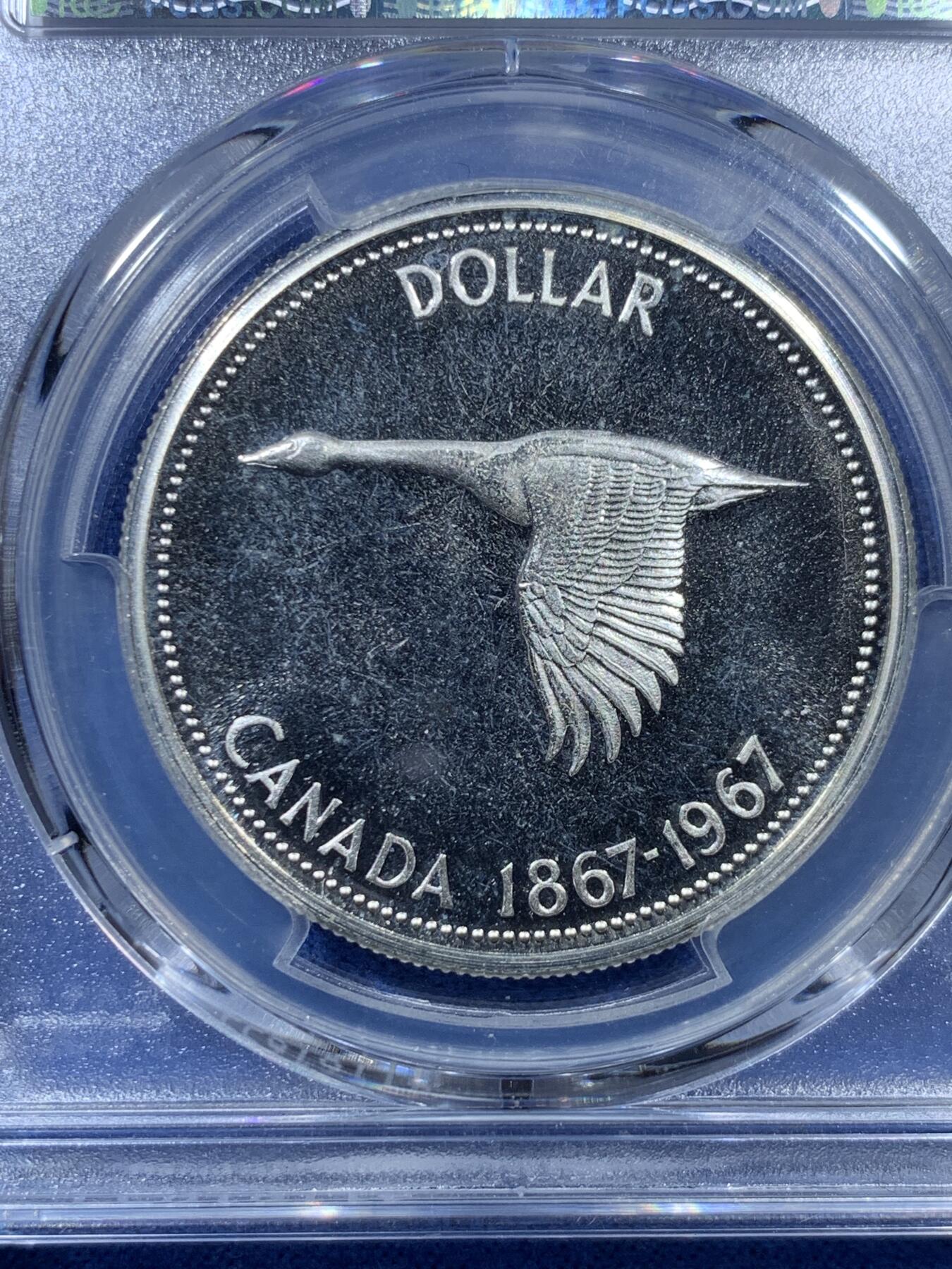 《竞宝斋》第306场   周日，周一 2场连拍 （全场包邮） PCGS PL66 加拿大 1967 大雁1元银币，币面干净漂亮！热门品种！