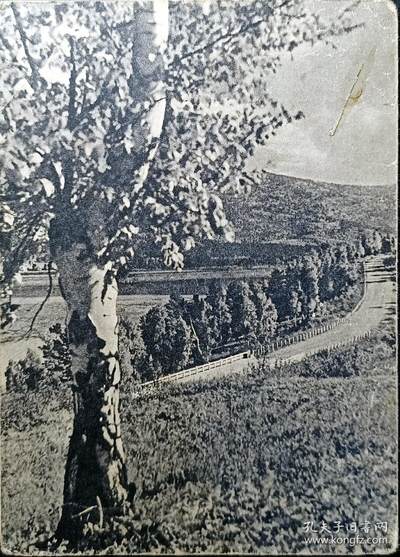 江湖杂货铺    【第77期】       【无佣金、全场包邮】 - 苏联明信片，1956年 乌兰乌德公路